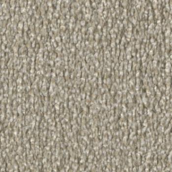 Vorwerk Calla Teppichboden – Farbe 8L53 beige – Draufsicht